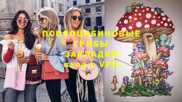 спайс Алексин