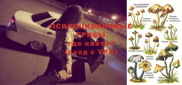 спайс Алексин