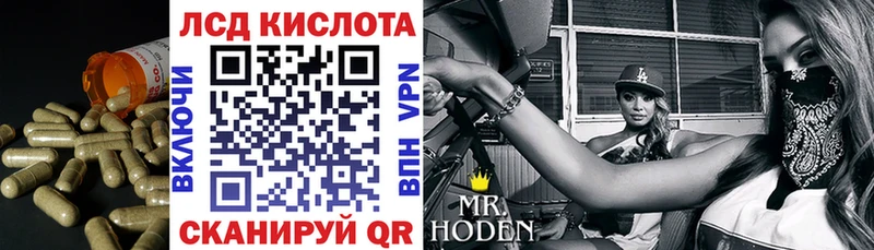 где можно купить   Качканар  Лсд 25 экстази кислота 